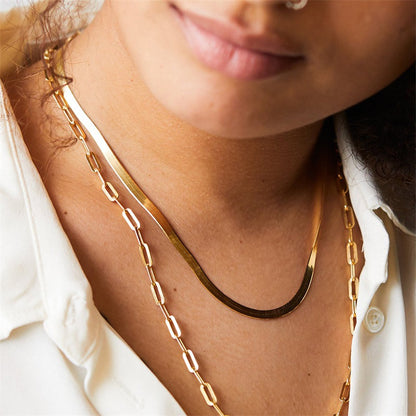 Alicia Simple Layered Necklace