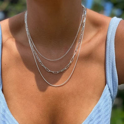 Snakebone Exquisite Layered Necklace